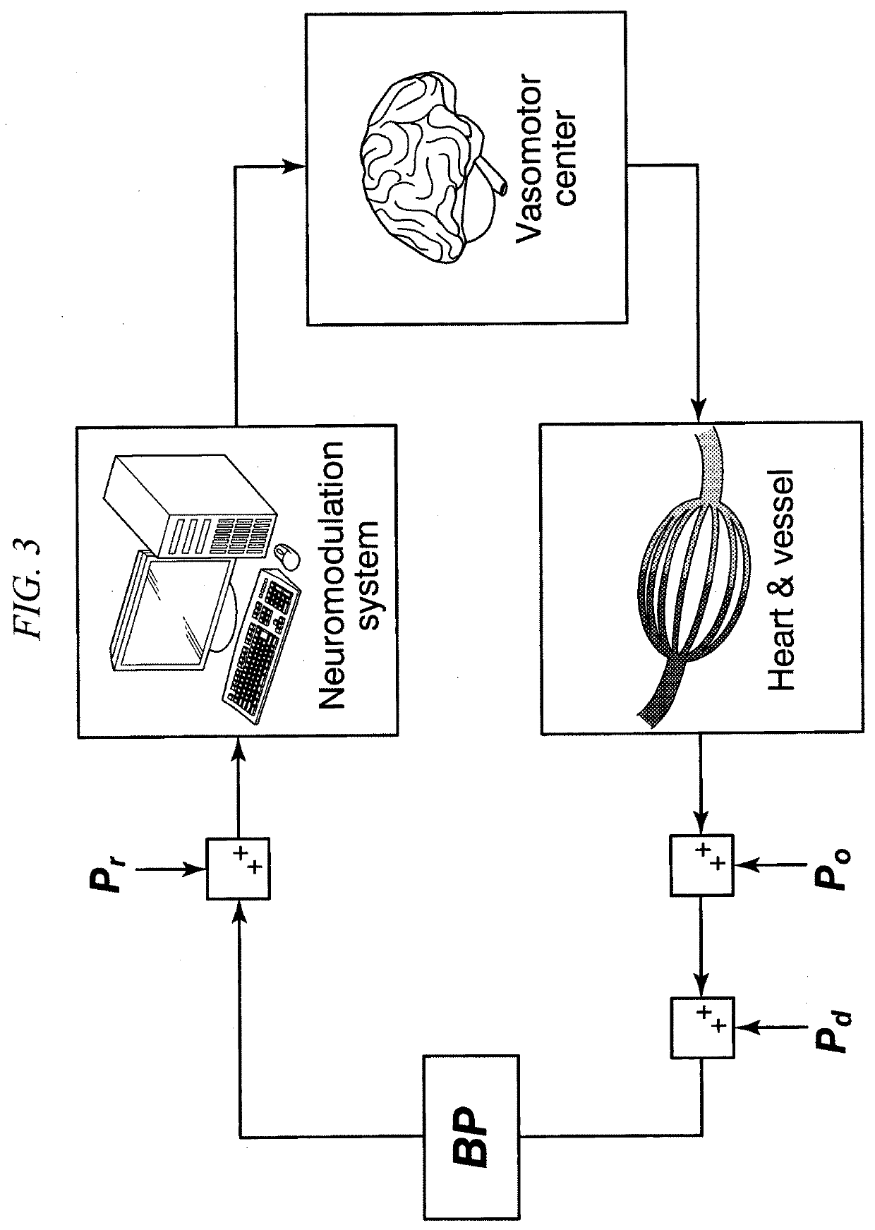 Blood pressure controlling apparatus, non-transitory computer readable recording medium storing control program of blood pressure controlling apparatus, and method for controlling blood pressure