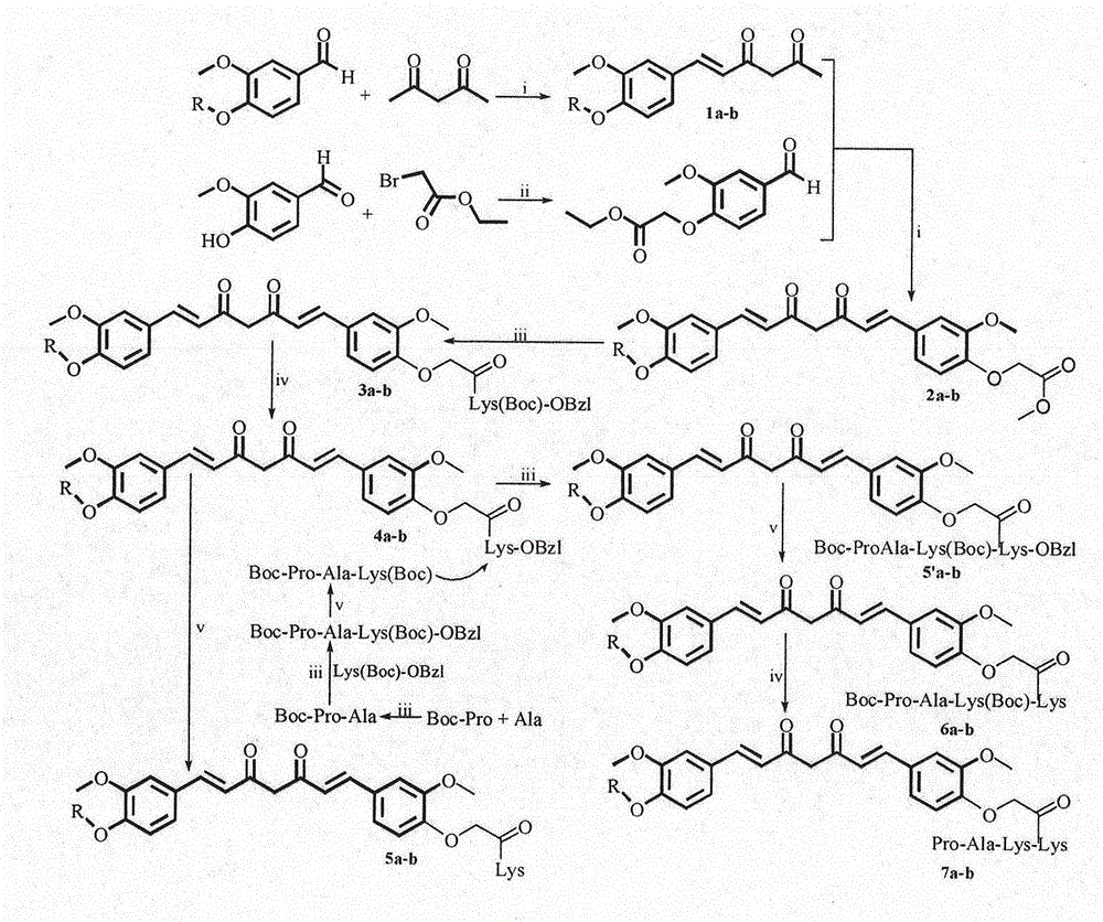 Lys(Pro-Ala-Lys) curcumin derivatives, synthesis thereof and application thereof in medical science