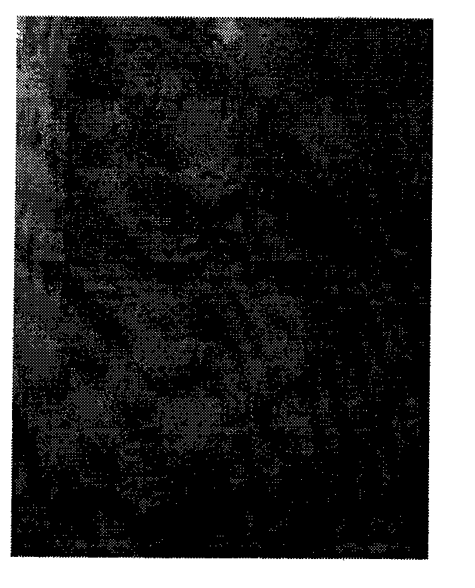 Method for relocation and seamless homing of undisturbed soil