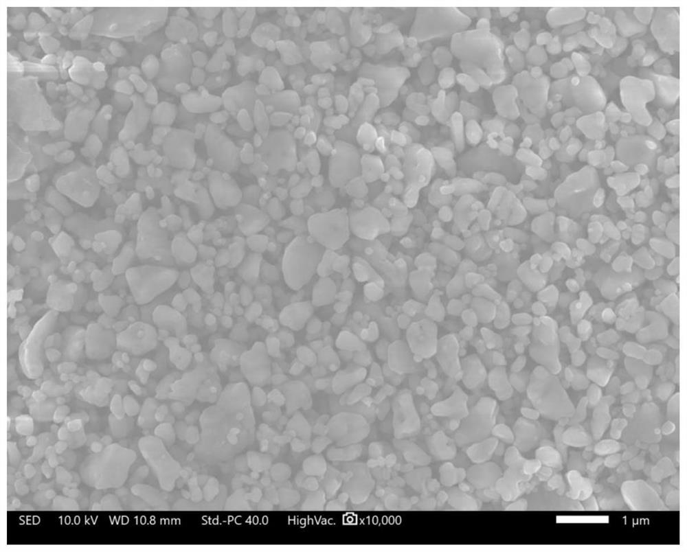 Ceramic coating diaphragm slurry, ceramic composite diaphragm, preparation method and application thereof