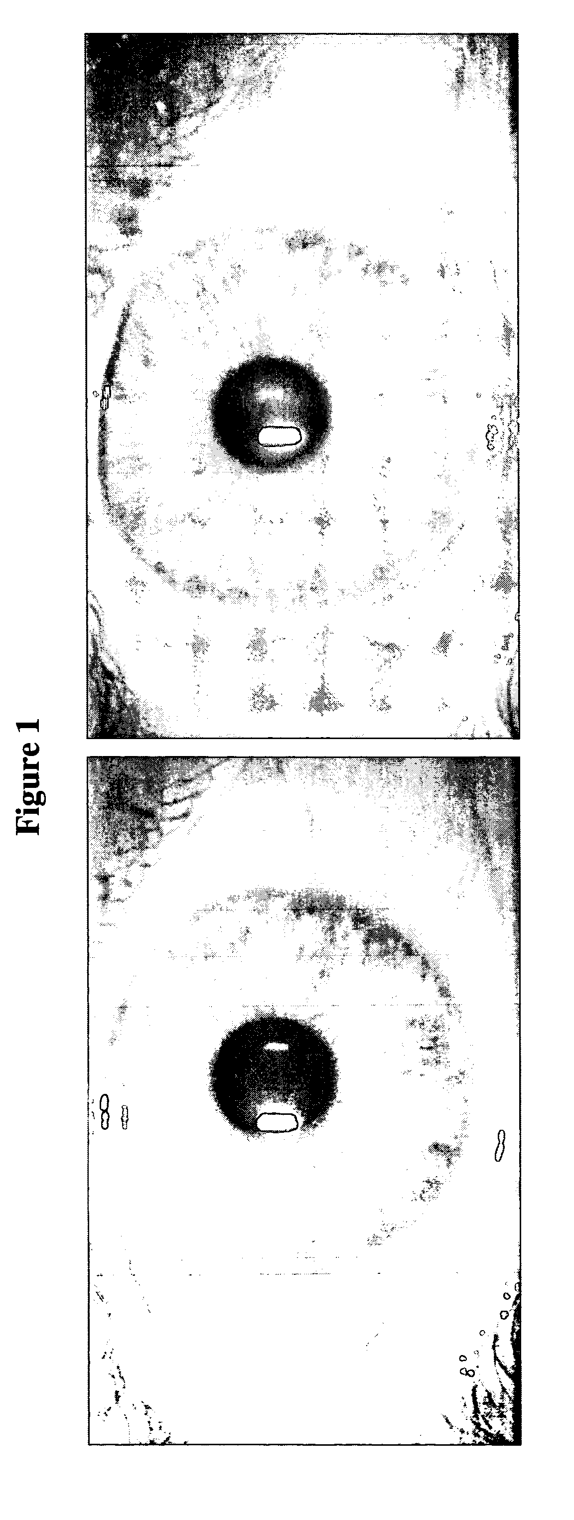 Soft contact lenses displaying superior on-eye comfort
