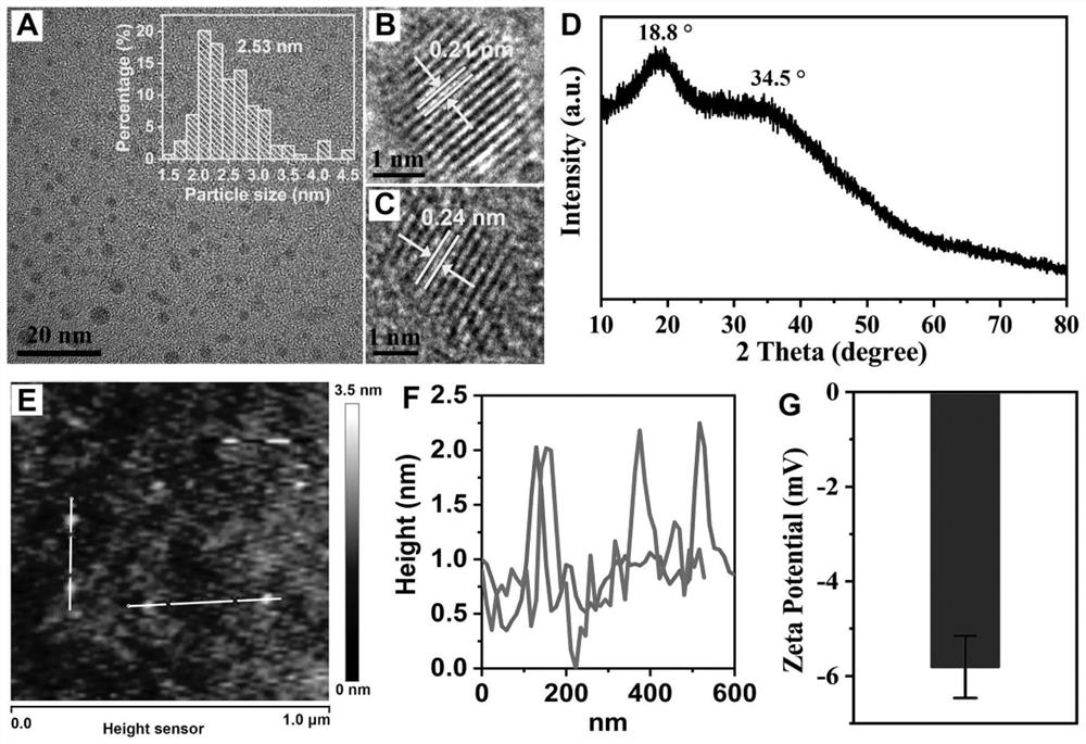 Magnesium-nitrogen-doped carbon dots, preparation method thereof and application of magnesium-nitrogen-doped carbon dots in improvement of photosynthesis of plants