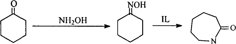 Process for directly synthesizing caprolactam from cyclohexanone and hydroxylamine
