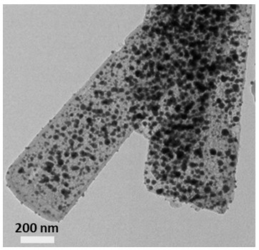 Preparation method and application of bismuth nanoparticle composite material protected by double carbon layers