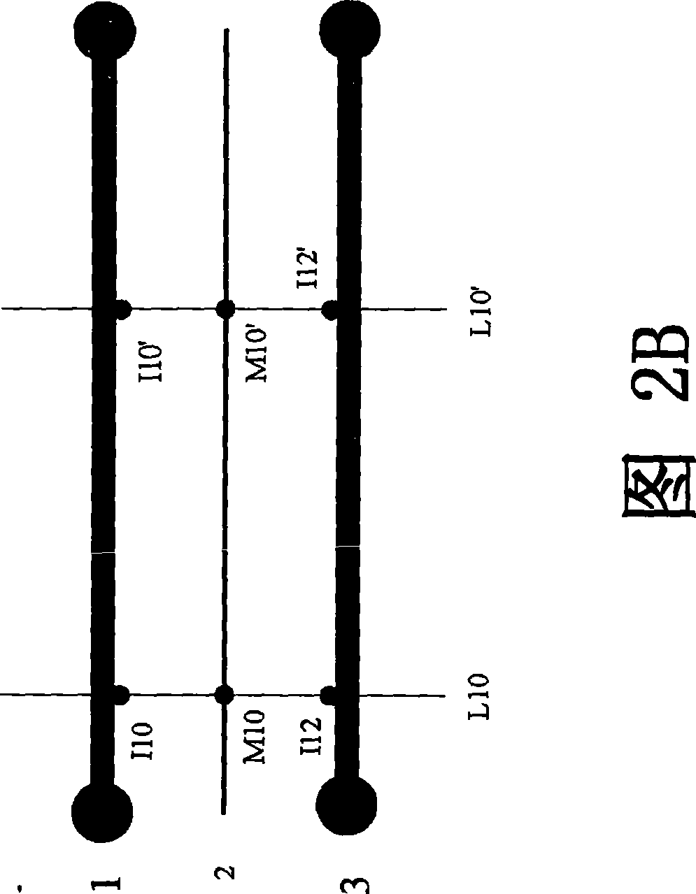 Method for acquiring wiring path of signal line