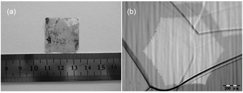 Preparation method of millimeter-scale single-layer single crystal graphene