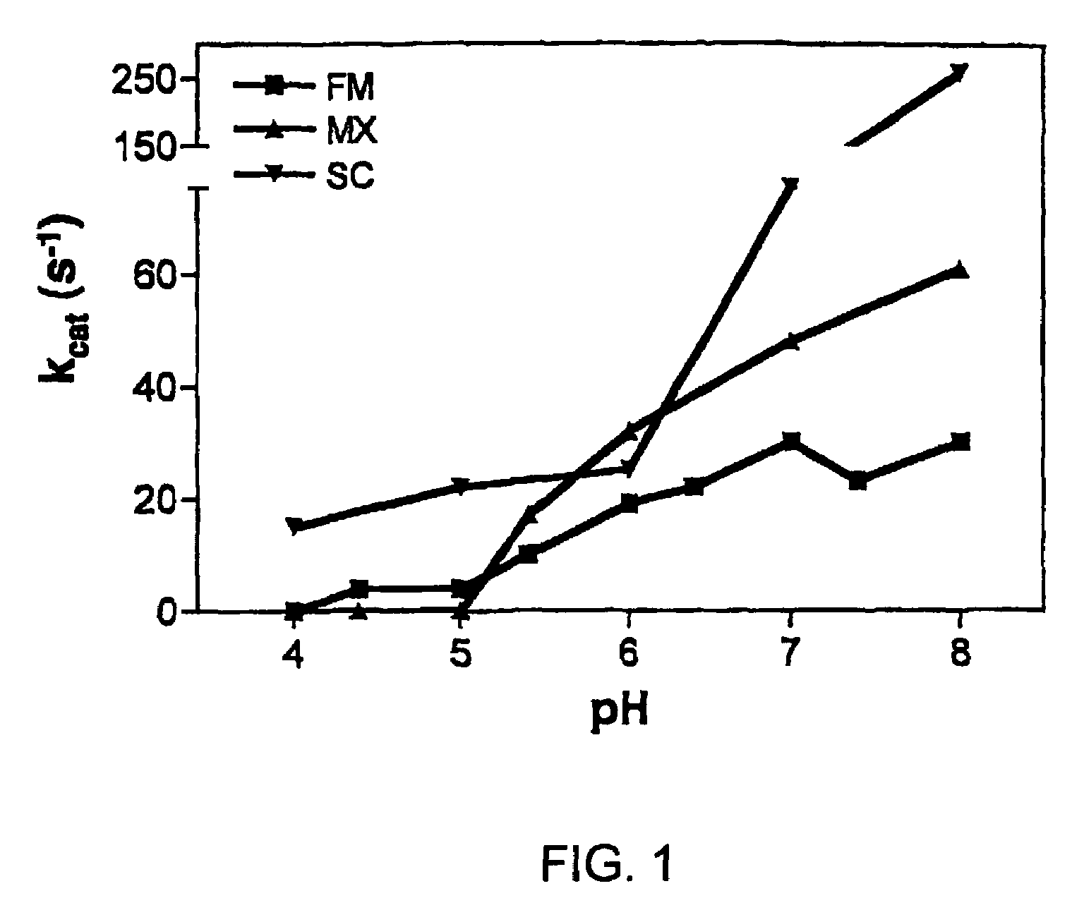 Therapeutic enzyme formulations and uses thereof in celiac sprue and/or dermatitis herpetoformis