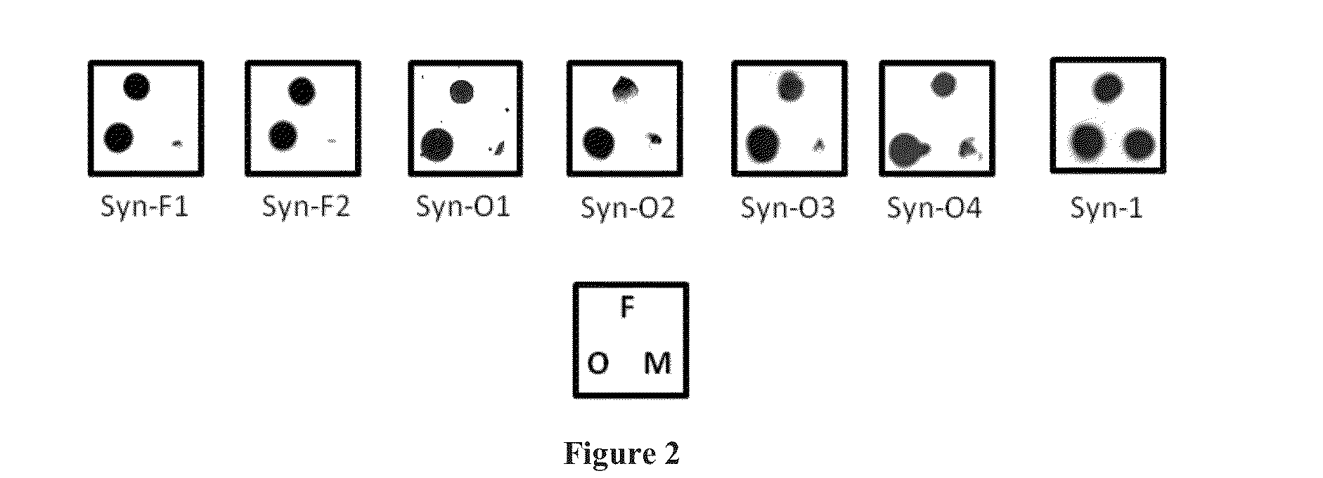 Alpha-synuclein antibodies and uses thereof