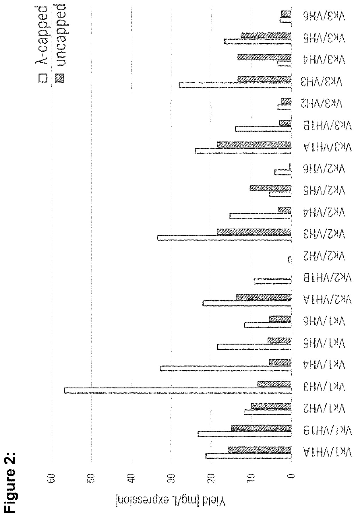 Stable antibody variable domain framework combinations and methods of use thereof