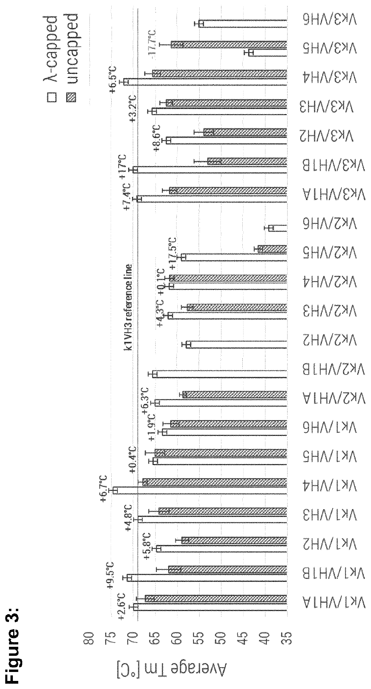 Stable antibody variable domain framework combinations and methods of use thereof