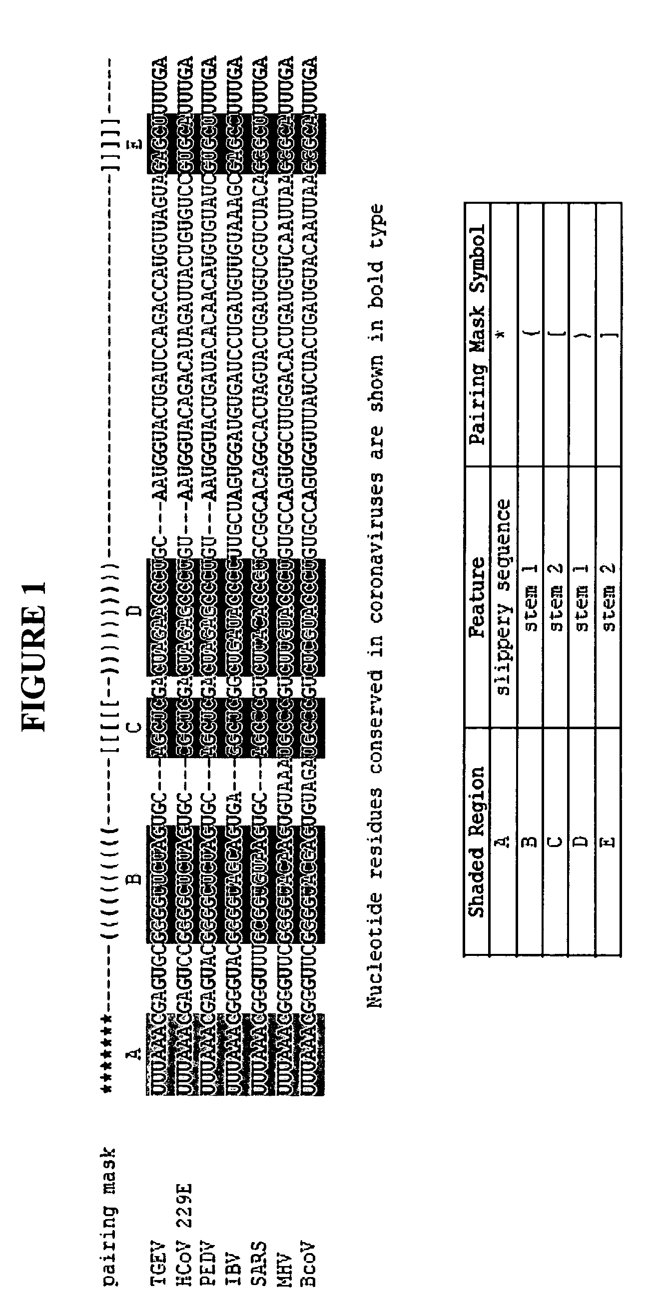 Compositions and methods for the treatment of severe acute respiratory syndrome (SARS)