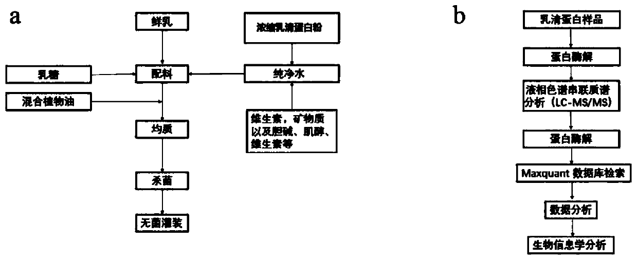 Milk-based infant formula liquid milk containing active protein and preparing method of liquid milk