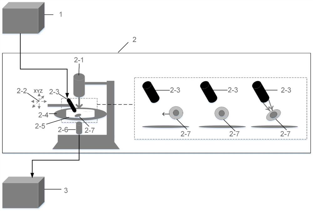 Device and method for testing mechanical properties of biological cells by using acoustic radiation force