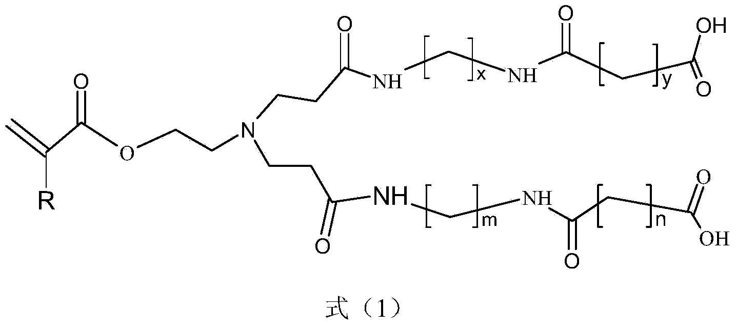 Alkenyl-branched monomers and preparation method thereof
