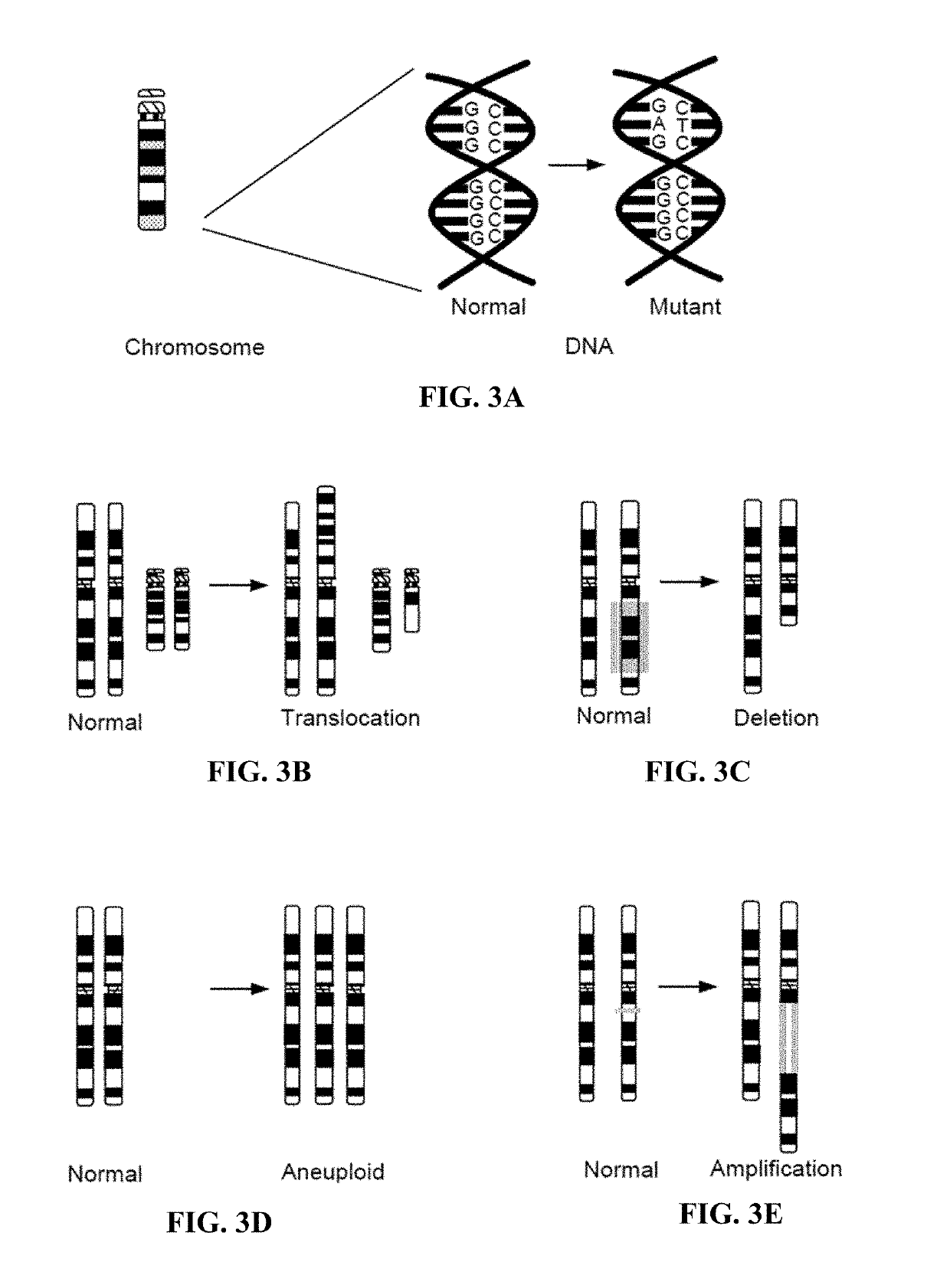 Evaluating genetic disorders