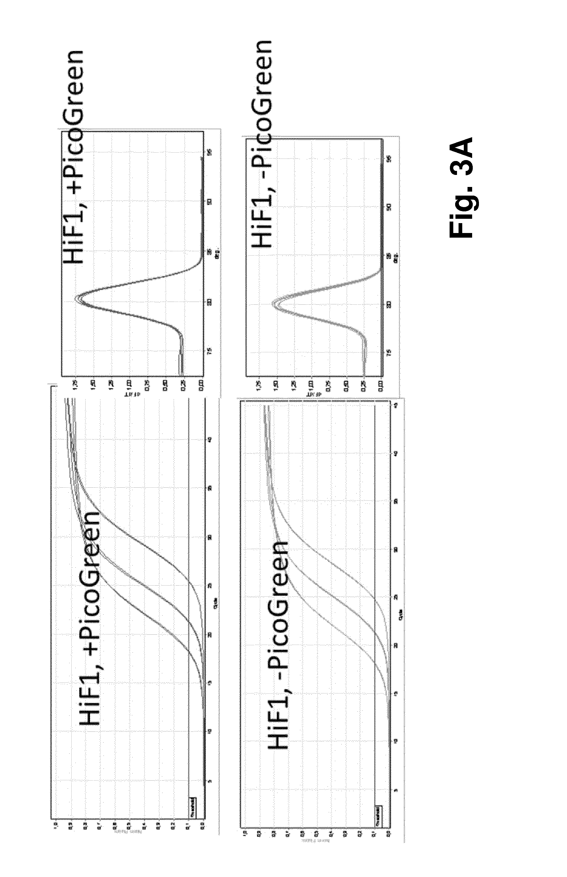 Quantification of RNA