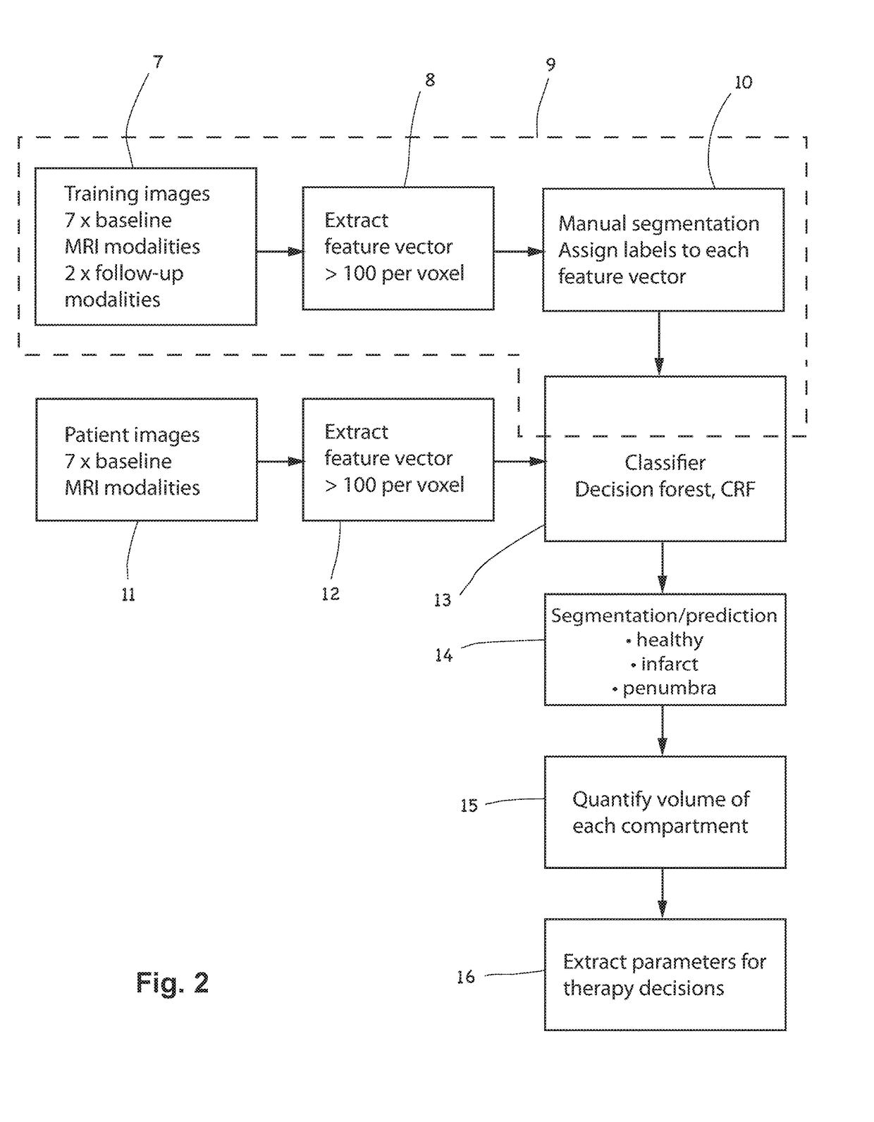 Method for segmenting and predicting tissue regions in patients with acute cerebral ischemia