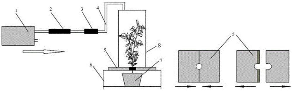 Method for rapidly predicting pest eating time of tea trees on basis of electronic nose