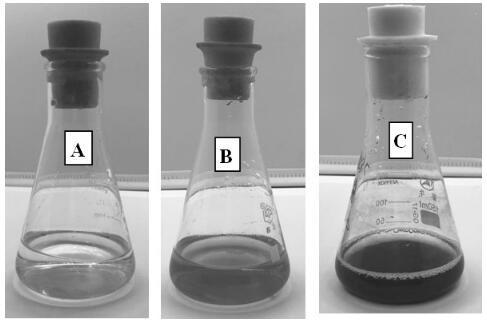 Zero-valent iron-isaria fumosorosea nanoparticles, preparation method and application thereof