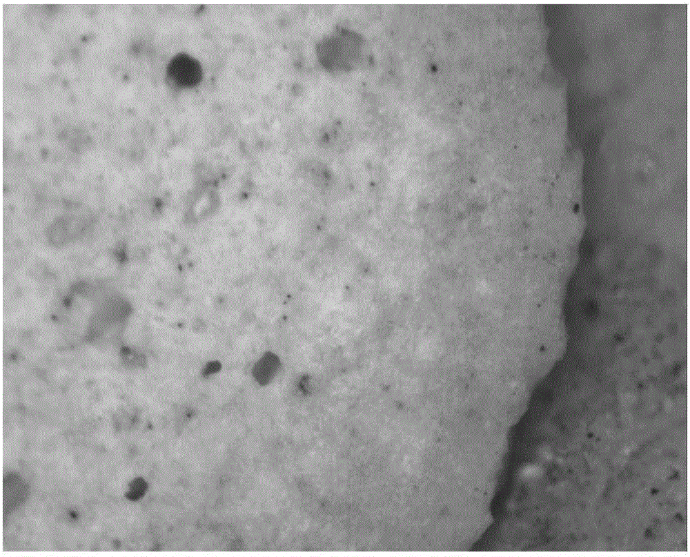 A kind of light-weight ceramsite assisted sintering on the surface of zinc sulfate and preparation method thereof