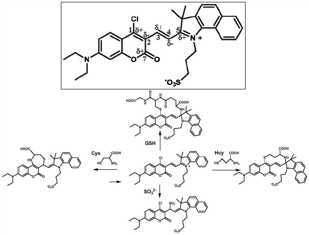 A kind of multi-active site fluorescent probe and its synthesis method and application