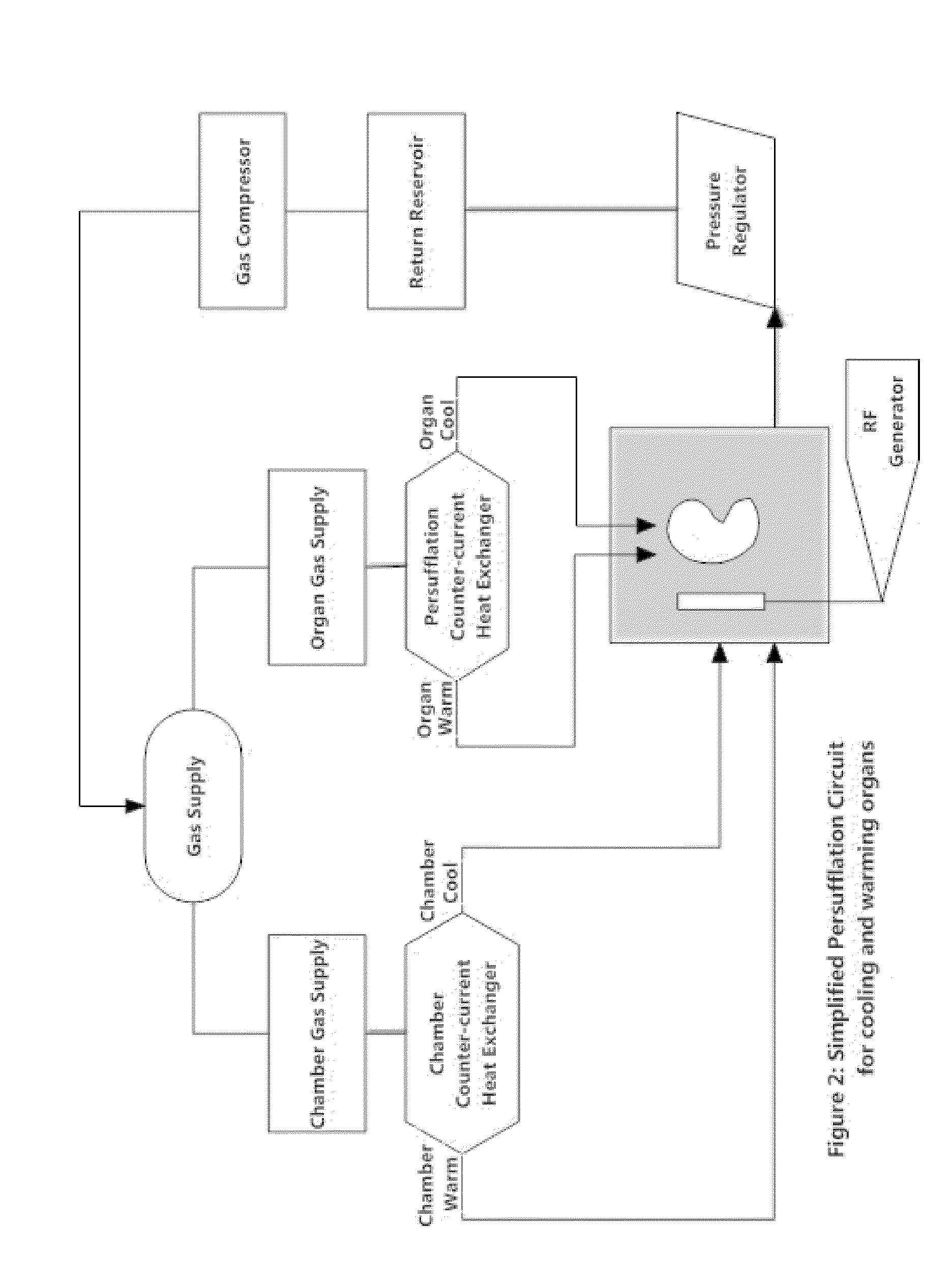 Method and apparatus for prevention of thermo-mechanical fracturing in vitrified tissue using rapid cooling and warming by persufflation