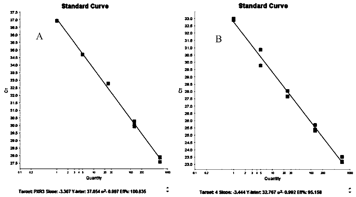 Application of rotenone in activating activities of ietalurus punetaus nuclear receptor PXR and cytochrome enzyme CYP3A