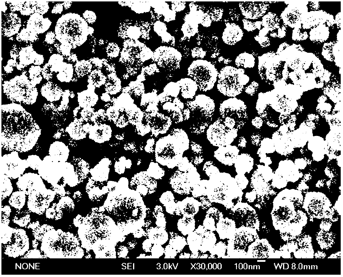 Method for treating urban domestic sewage based on magnetic nanomaterial reinforced activated sludge