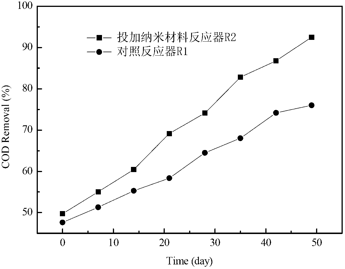 Method for treating urban domestic sewage based on magnetic nanomaterial reinforced activated sludge