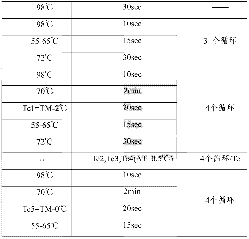 A DNA low-frequency mutation enrichment sequencing method for exfoliated cells