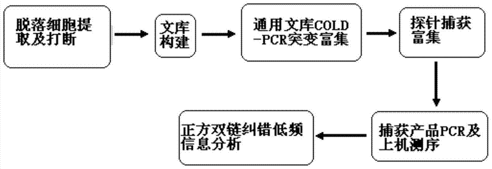 A DNA low-frequency mutation enrichment sequencing method for exfoliated cells