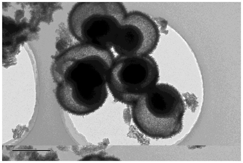 Preparation method of cobalt-doped molybdenum disulfide with yolk-eggshell structure