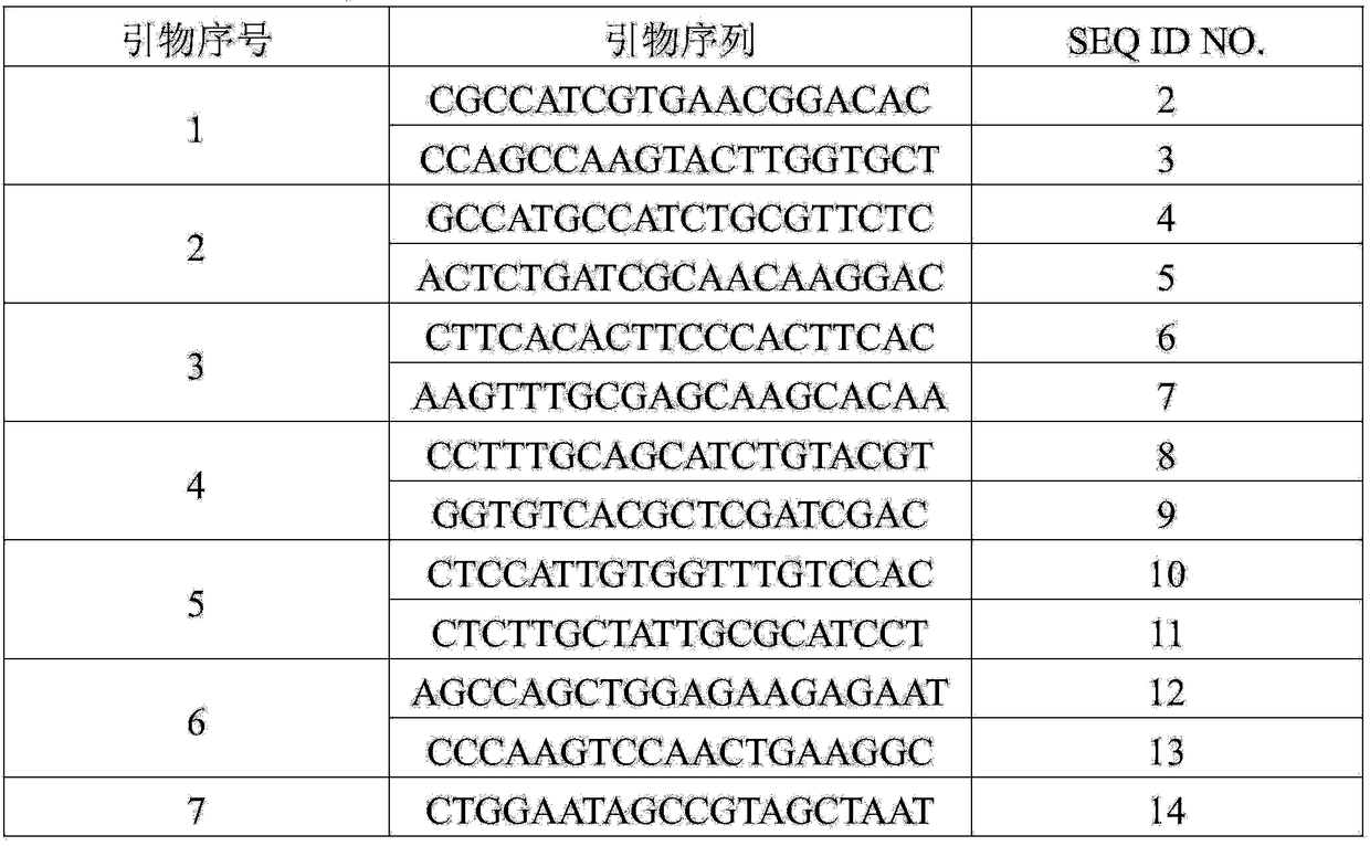 Molecular marker SIsv0456 closely linked to grain imazethapyr-resisting herbicide gene