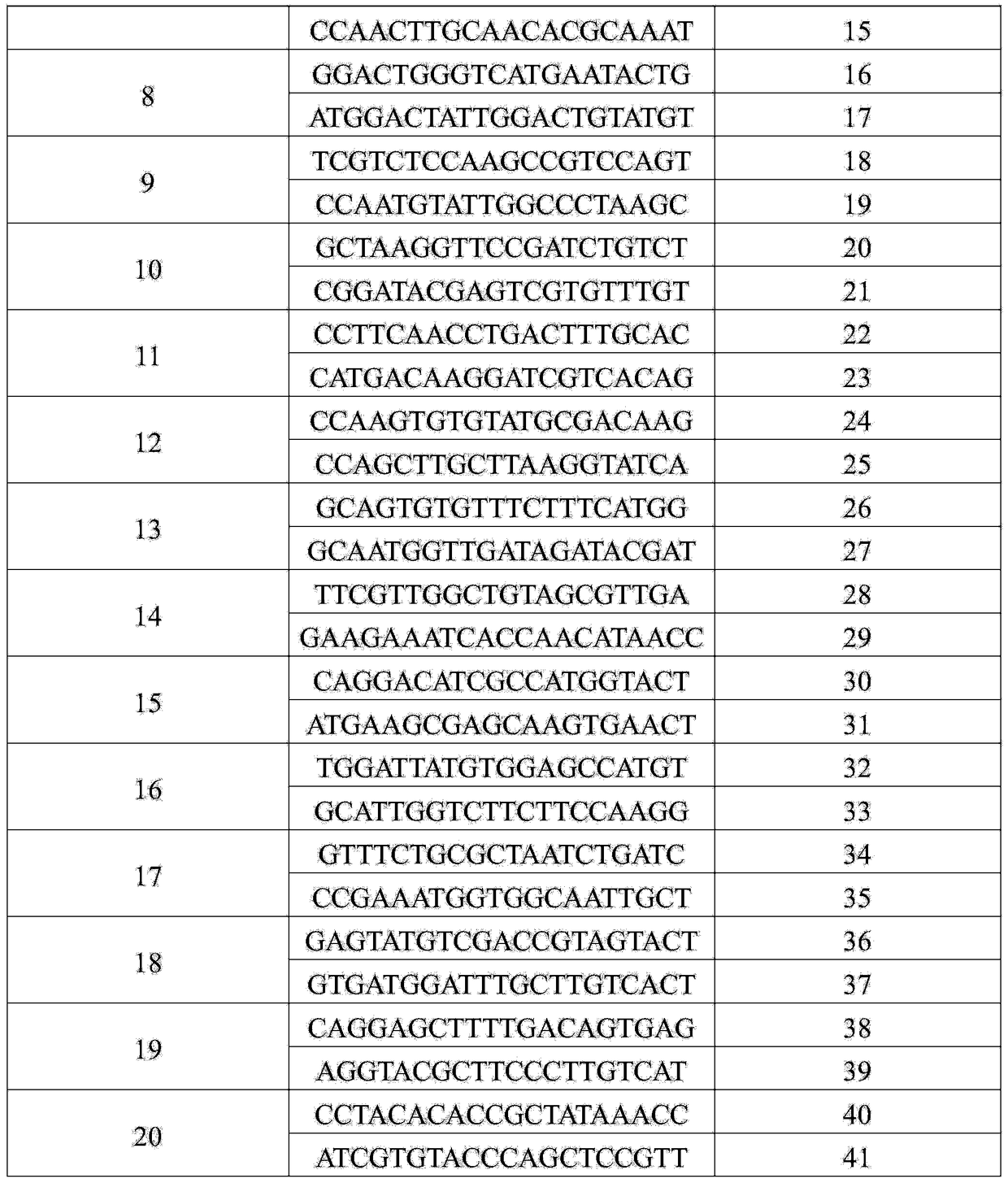 Molecular marker SIsv0456 closely linked to grain imazethapyr-resisting herbicide gene