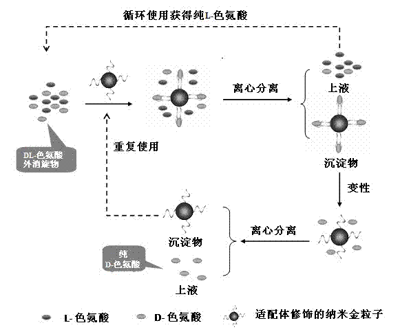 Chiral compound separation method based on nano gold modified by aptamer