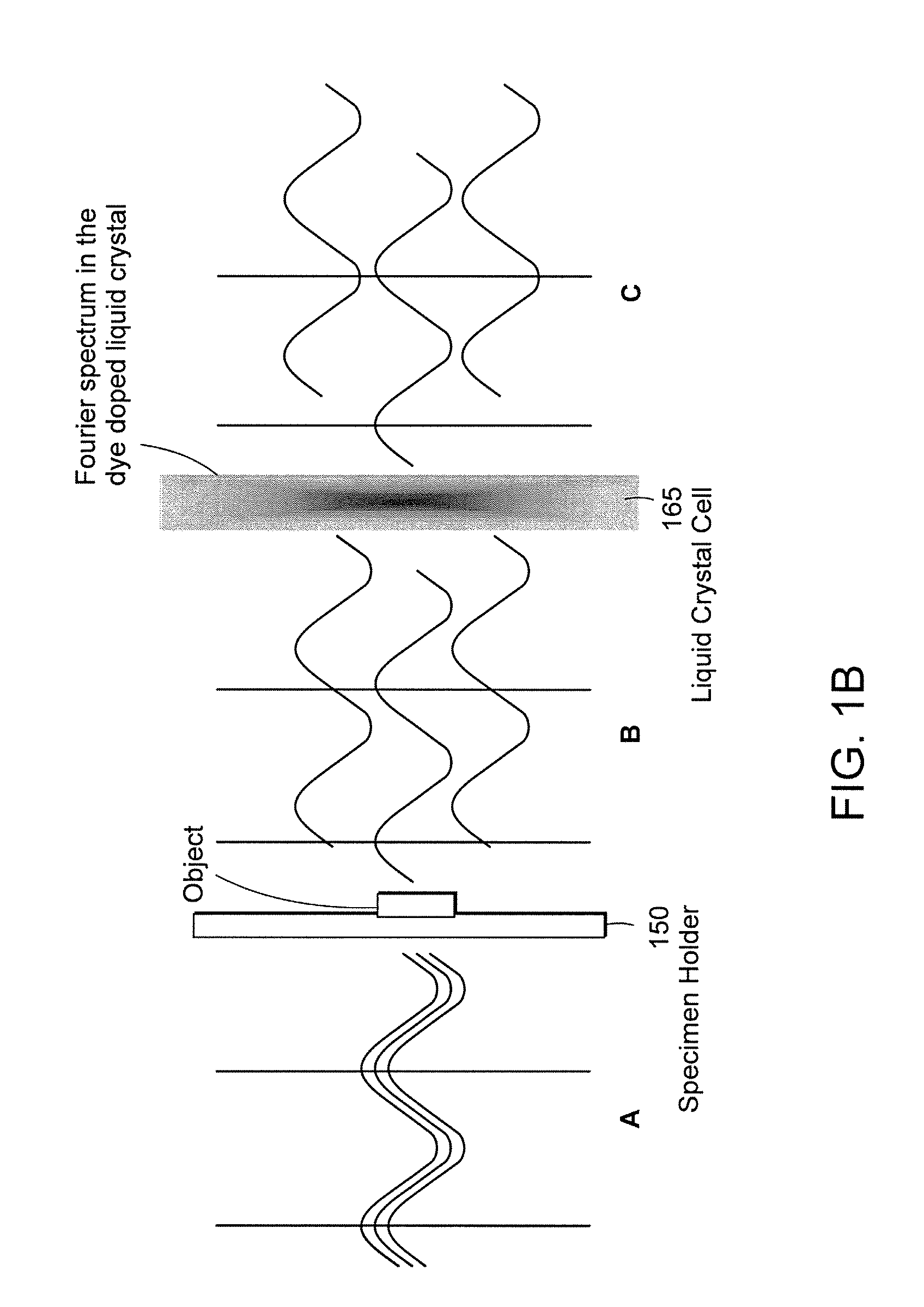 Systems and methods of all-optical fourier phase contrast imaging using dye doped liquid crystals