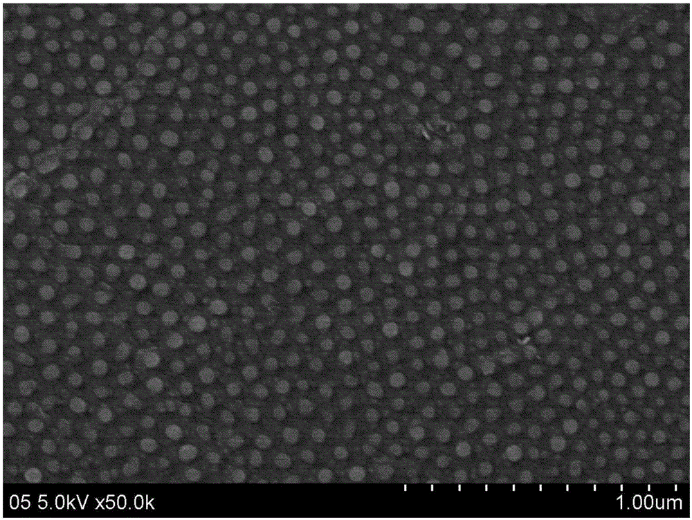 Preparation method for nano SiO2 lattice on 316L stainless steel surface