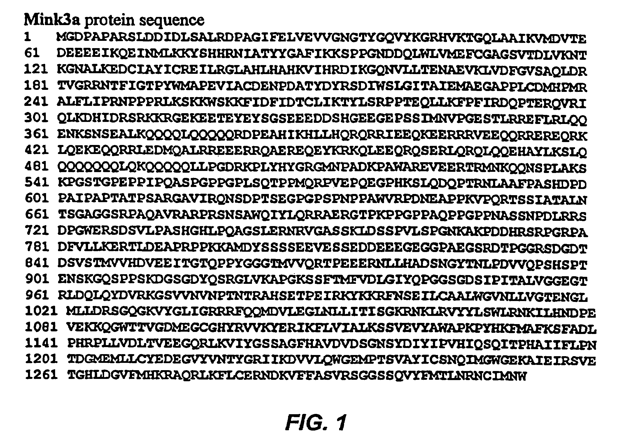 Germinal center kinase proteins, compositions, and methods of use