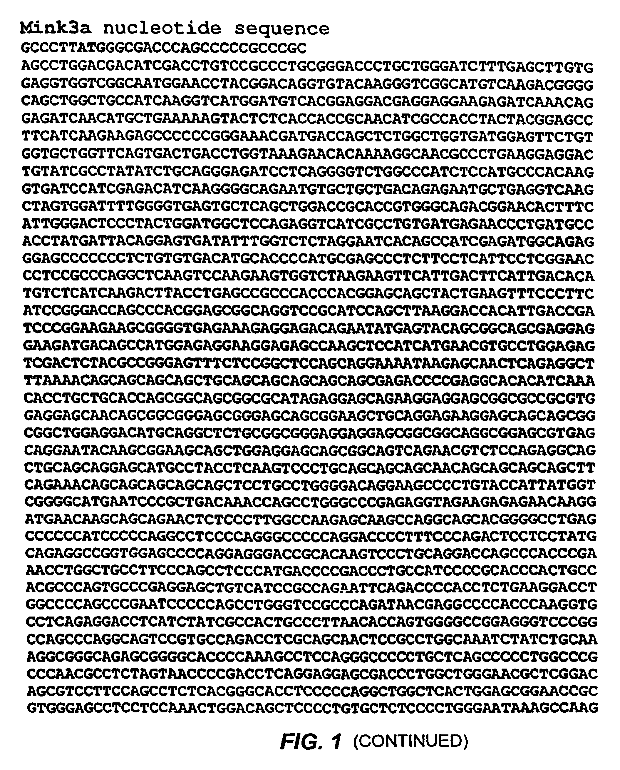 Germinal center kinase proteins, compositions, and methods of use