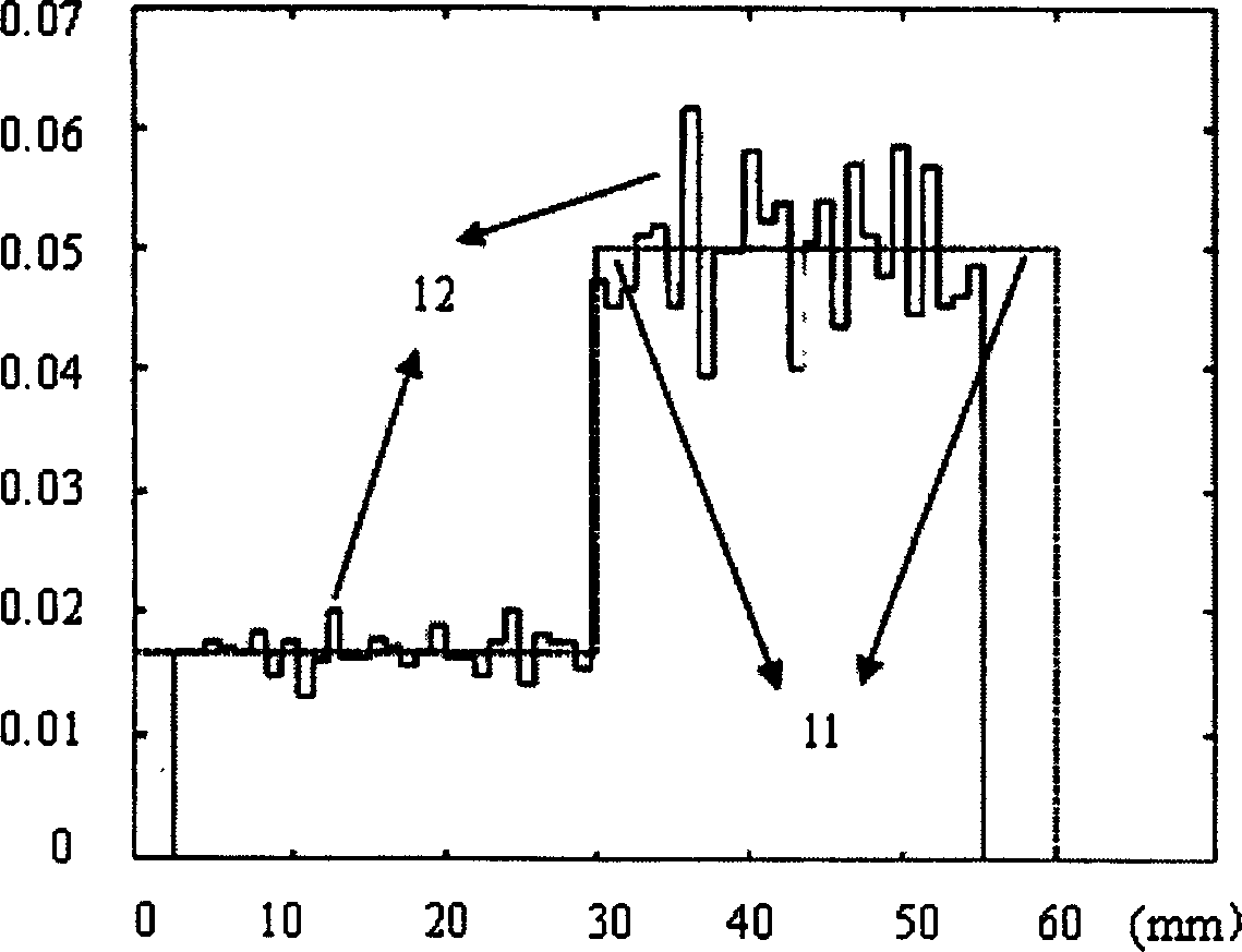 Biological tissue displacement evaluating method using two kinds of size