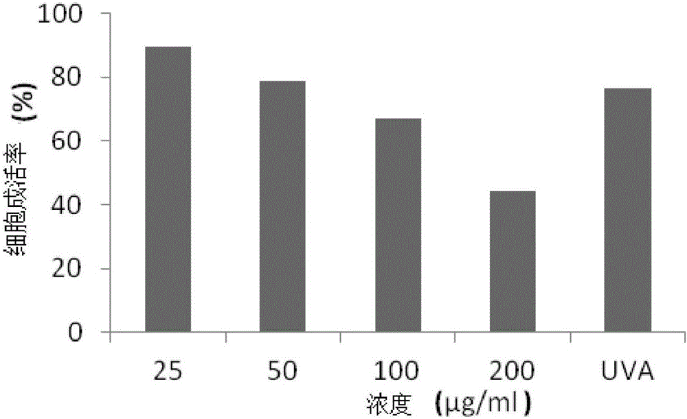 Application of emblica extract in preparing health food or cosmetics with anti-radiation and anti-aging effects