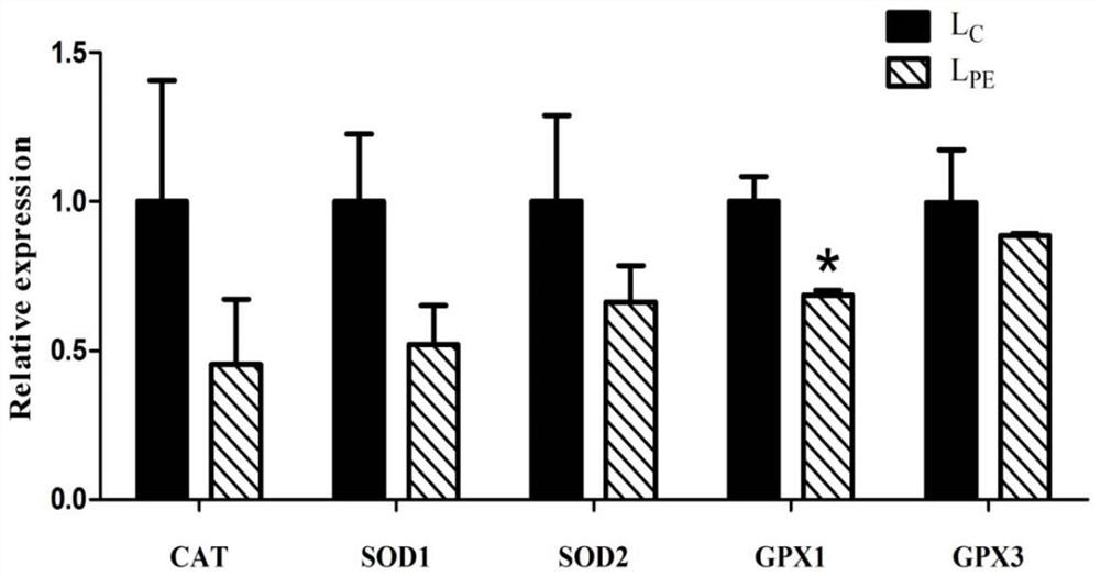 A Method for Enhancing Antioxidative and Immunological Functions of Lambs