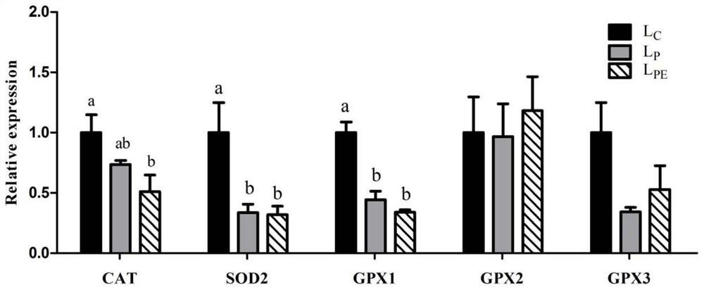 A Method for Enhancing Antioxidative and Immunological Functions of Lambs