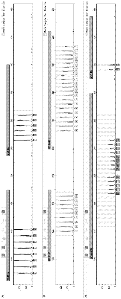 A kind of vibrio cholerae analysis typing kit