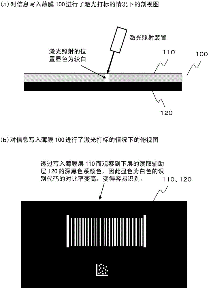Information writing film and sample storage body