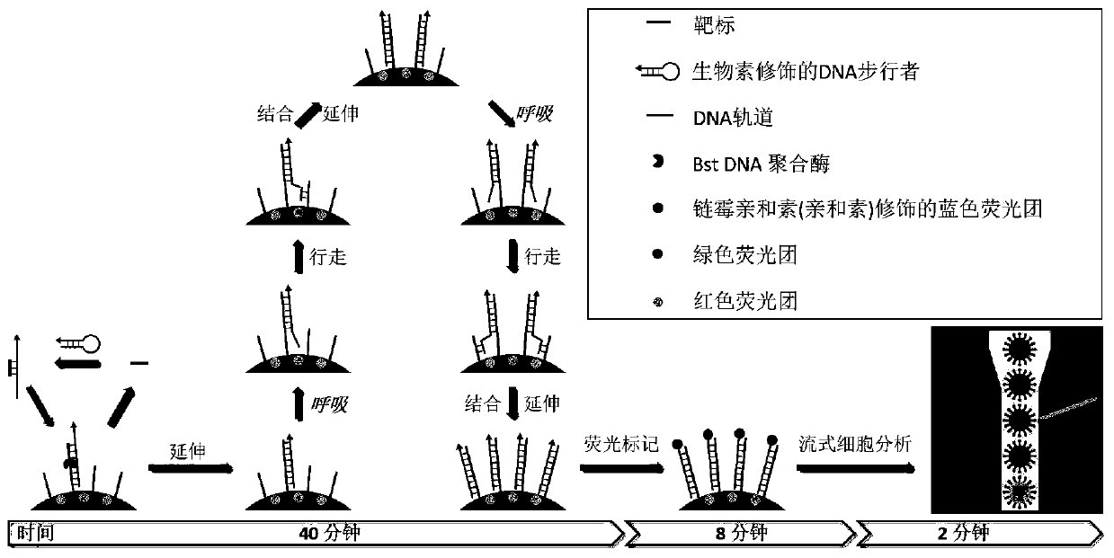 Multi-nucleic acid detection method and kit