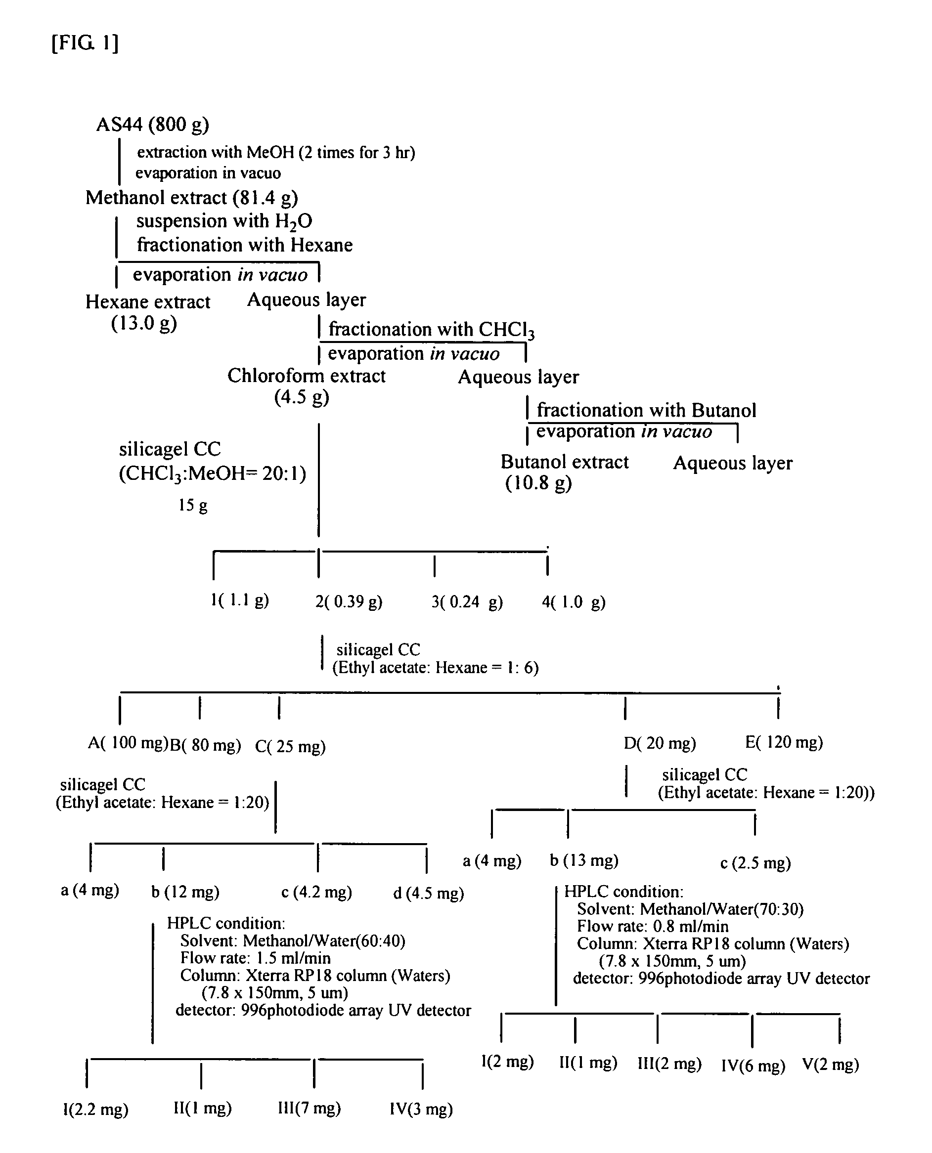 Composition for the prevention or treatment of diseases associated with angiogenesis