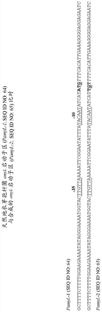 Novel promoter sequences and methods thereof for enhanced protein production in bacillus cells