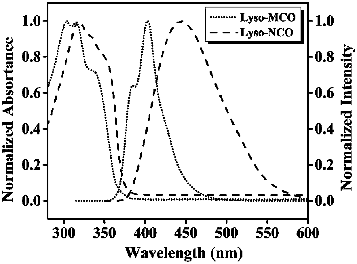 A kind of two-photon fluorescent dye and its preparation method and application