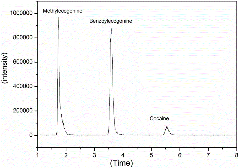 Method for enriching and detecting cocaine and metabolin thereof in urine through magnetic dispersed extraction materials